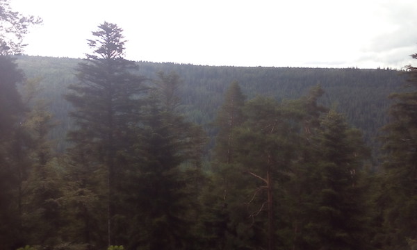 Eindrücke vom Ausflug nach Bad Wildbad