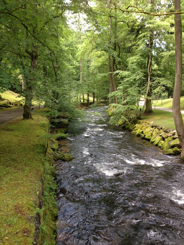 Schwarzwald und Torte genossen