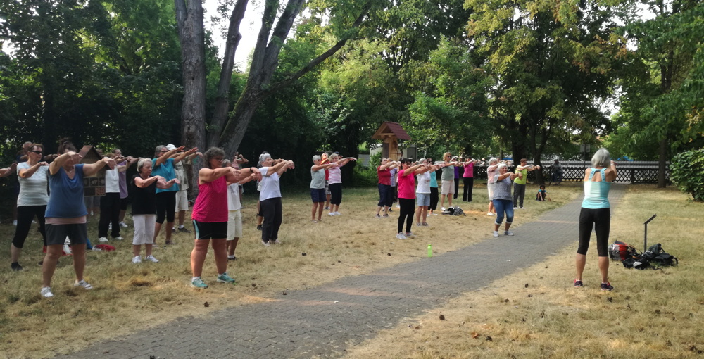 Kostenloses Angebot „Qigong im Park“ startet am 23. Juni